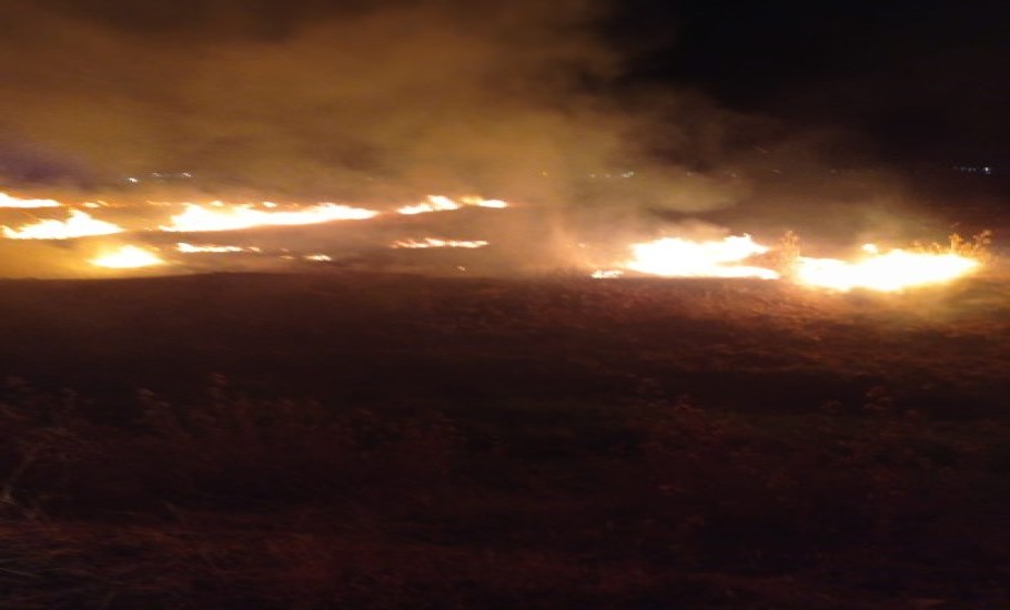 20240620130406 36208 91237