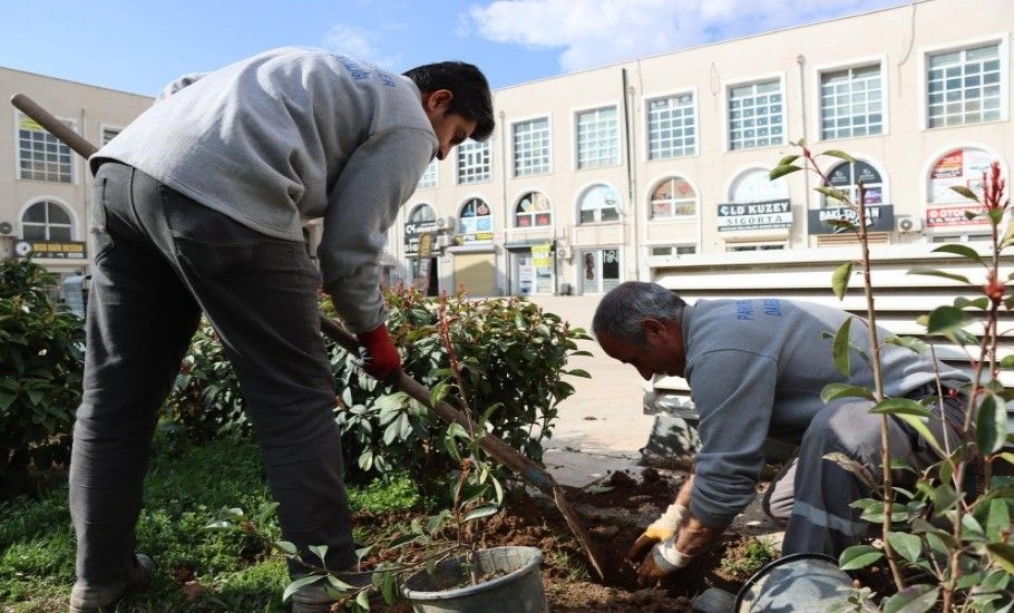 BÜYÜKŞEHİR, AĞAÇ VE BİTKİ DİKİMLERİNİ HIZLANDIRDI
