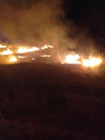 86313 85430 20240620010350